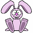 bunny
